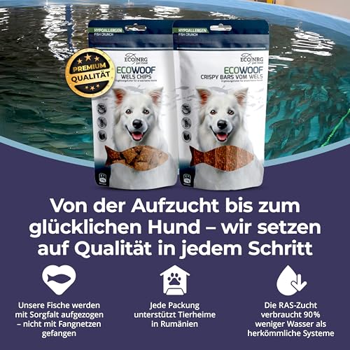 ECO WOOF Fisch Hundeleckerli - 100% Wels Chips - 750 g - Hypoallergen - Single-Protein - Getreidefrei - Hunde Snack mit Omega 3 & Kollagen - Ideal für empfindliche Hunde - Gesunde Trainingsleckerli