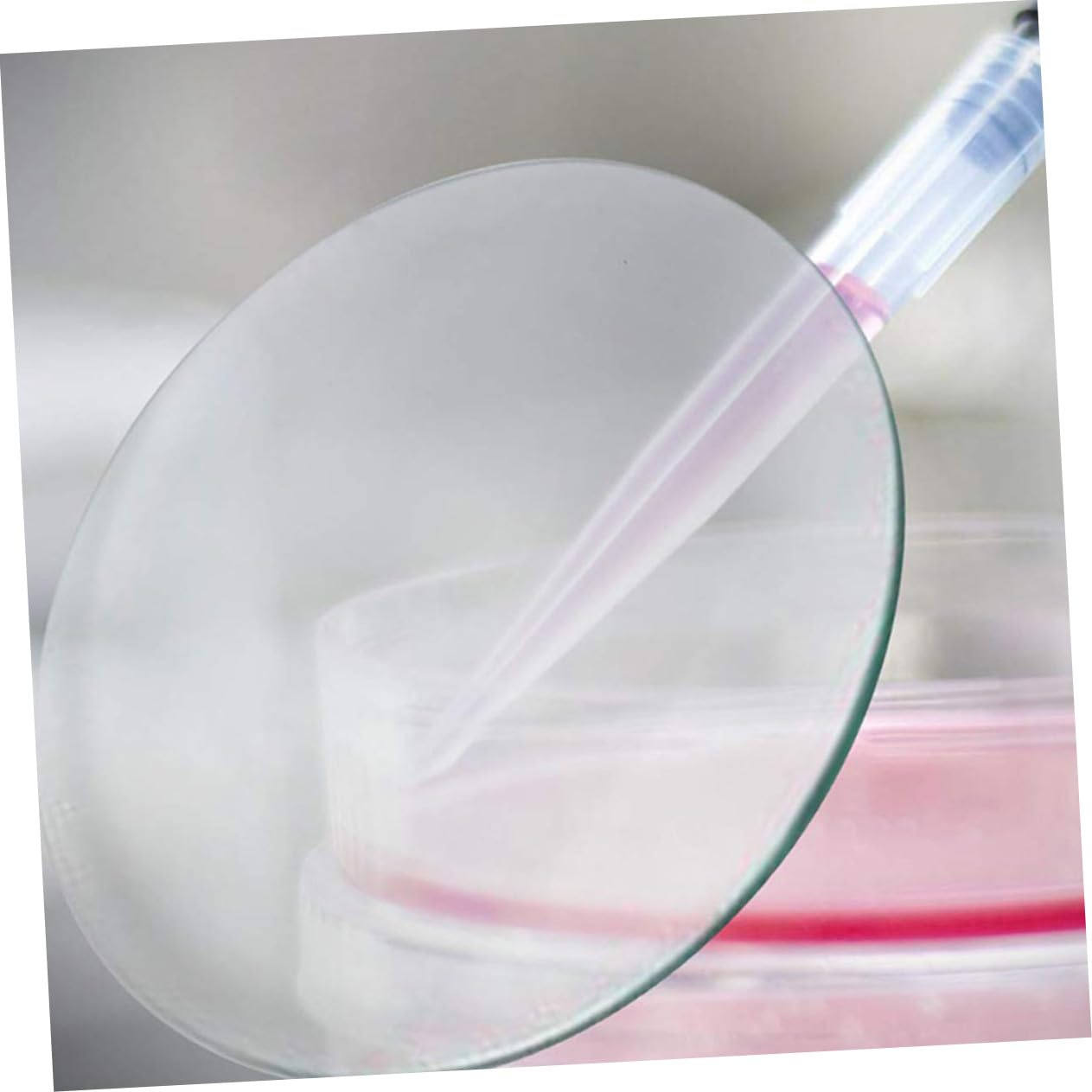 Copri Becher in Vetro Rotondi per Laboratorio, 10 Pezzi | Piatti, per Esperimenti Scientifici e Istituti, Stabili e Poco Deformabili