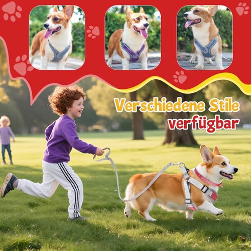3 Stück Hundegeschirr und Leine Set, Verstellbares Brustgeschirr, Reflektierendes atmungsaktives Hundegeschirr mit D-Ring, Hundegeschirrs Set für Welpen, Kleine Hunde