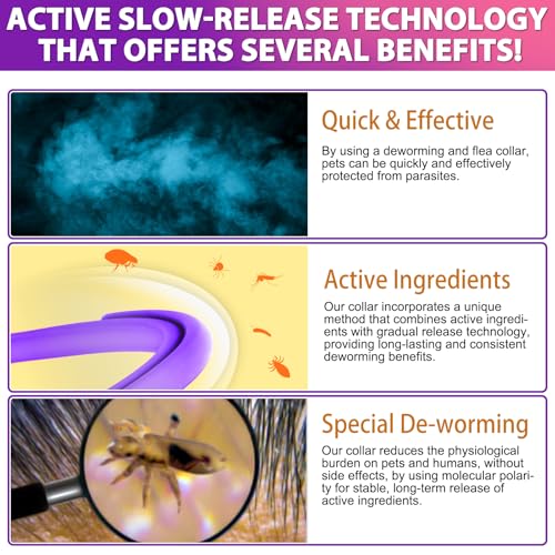 Zeckenhalsband für Hunde 4 Stück, Zecken-Flohschutz Halsband für Hunde, Verstellbar Flohhalsband für Hunde 60 cm, 24 Monate wirksamer Schutz gegen Zecken Und Flöhen | Wasserfest