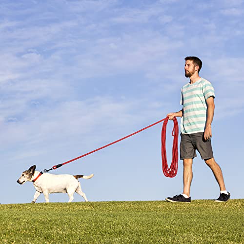 Image of Long Dog Leash for Training 30Ft-Reflective Nylon Rope with Swivel Hook-Recall Agility Lead for Large Small Medium Dogs Outside Walking Hiking-Red