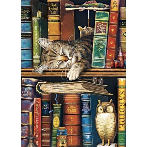 Jawecci Diamond Painting Estantería Kit 30x40cm, 5D Gato Diamond Pintura Cuadros Brillantes DIY para Adultos y Niños, Completo Diamante Painting Decoración Hogar