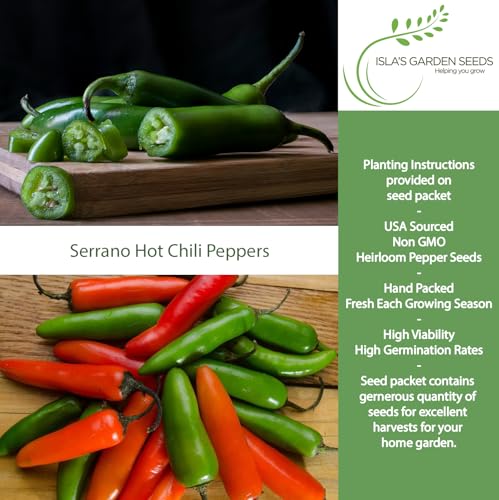 Serrano Hot Chili Pepper Seeds (Capsicum annuum ‘Serrano’) – 100+ Non-GMO & Heirloom Seeds by Isla’s Garden Seeds, Also Known as Serrano Peppers, Classic Spicy Variety for Summer Gardens, Gift Idea - Image 2