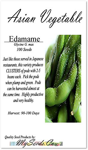 Big Pack (100) Japanese Edamame Seeds - High In Protein - Young Soy Bean - 80-90 Days - Non-Gmo Seeds By Myseeds.co (Big Pack - Japanese Edamame) #TOP1