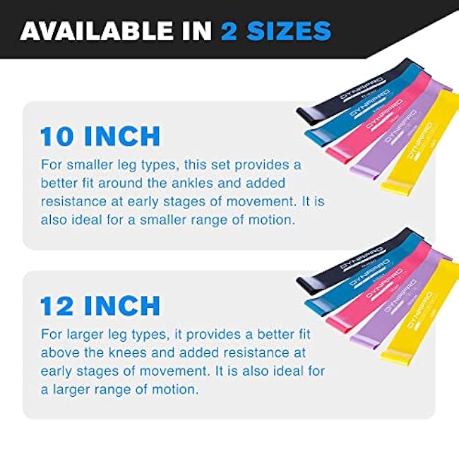 DYNAPRO Resistance Bands- Mini Precision Loop Exercise Bands with 2 Size Options, Perfect for Any Home Fitness Training Program