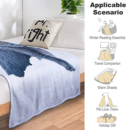 Couverture pelucheuse pour lit : la solution contre les frissons sur le canapé