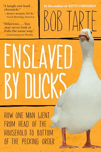 Enslaved by Ducks view 2
