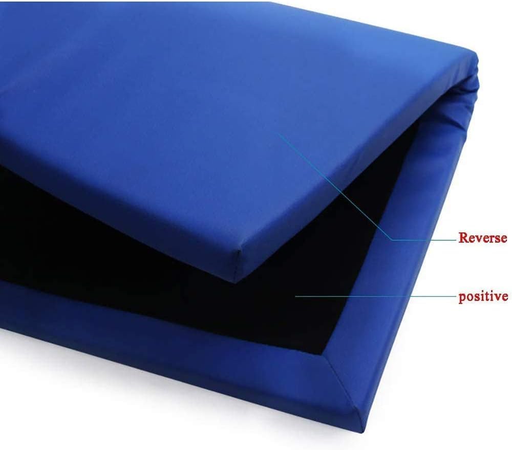 Tappetino disinfettante per suola delle scarpe, design a 3 strati ad alta durezza, 69 x 59 cm, spugna in pelle, tappetino sterilizzato per casa, ufficio e aree pubbliche