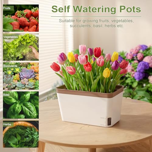 Image of OurWarm Windowsill Herb Planter Box Set of 6, 10.5 Inch Self Watering Pots for Indoor Plants, Flower Box with Water Level Window, Colorful Plastic Flower Pots & Planters for Herbs, Vegetables, Flowers