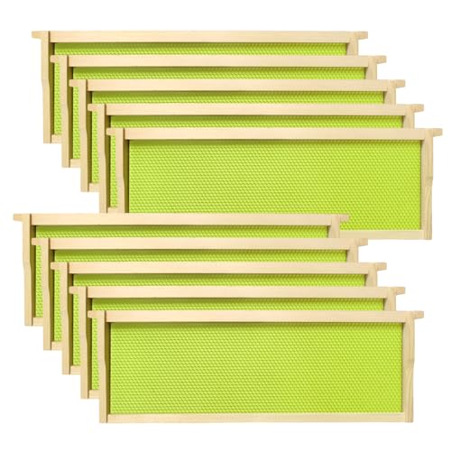BeeQuestify 10 Pack Medium Beehive Frames and Wax Foundations Unassembled Super Wood Bee Frames with Food Grade Beeswax Coated Foundations Sheets Kit for Beehives 6-1/4-inch Green