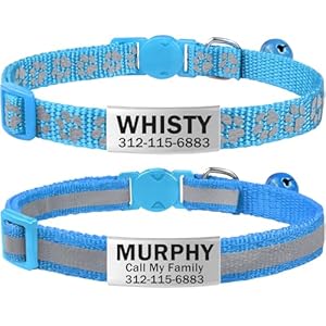 TagME 2 Pack Cat Collar with Name Tag, Personalized Reflective Cat Collar Breakaway with Bell for Boy & Girl Kitten, SkyBlue