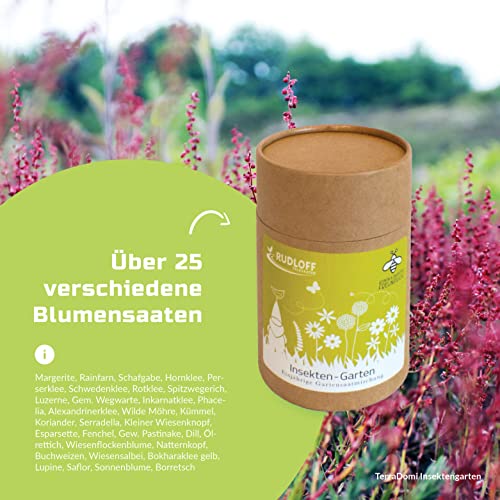 TerraDomi 300g Insekten-Garten I insektenfreundliche Blumenmischung I Saatmischung für zauberhafte Blütenpracht und Nektarangebot I nachhaltig und weniger Plastik - Image 6