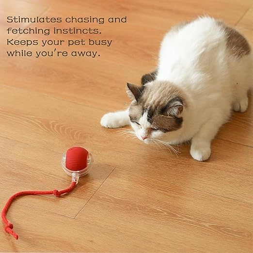 NIYANETAIL Interactive Rolling Ball for Dogs & Cats | Smart Automatic Pet Toy with Tail | Durable & Safe | Motion-Activated Chase Ball for Reducing Anxiety & Boredom 3
