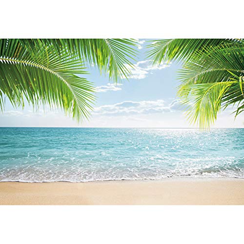 Fondo Fotográfico Playa Tropical 10x8ft para Fotografía