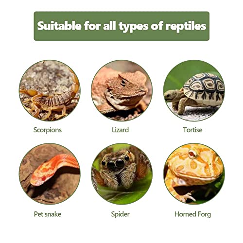 Piattaforma Galleggiante Per Tartarughe - Rampa Con Ventosa Per Acquario - Ideale Per Tartarughe E Rettili Acquatici - Foto 12