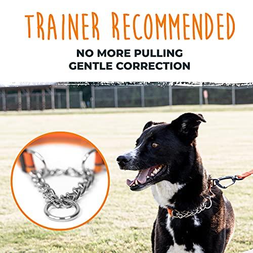 Mighty Paw Martingale Dog Collar 2.0 | Trainer Approved Limited Slip Collar With Stainless Steel Chain & Heavy Duty Buckle. Modified Cinch Collar For Gentle & Effective Pet Training (Orange) #TOP1