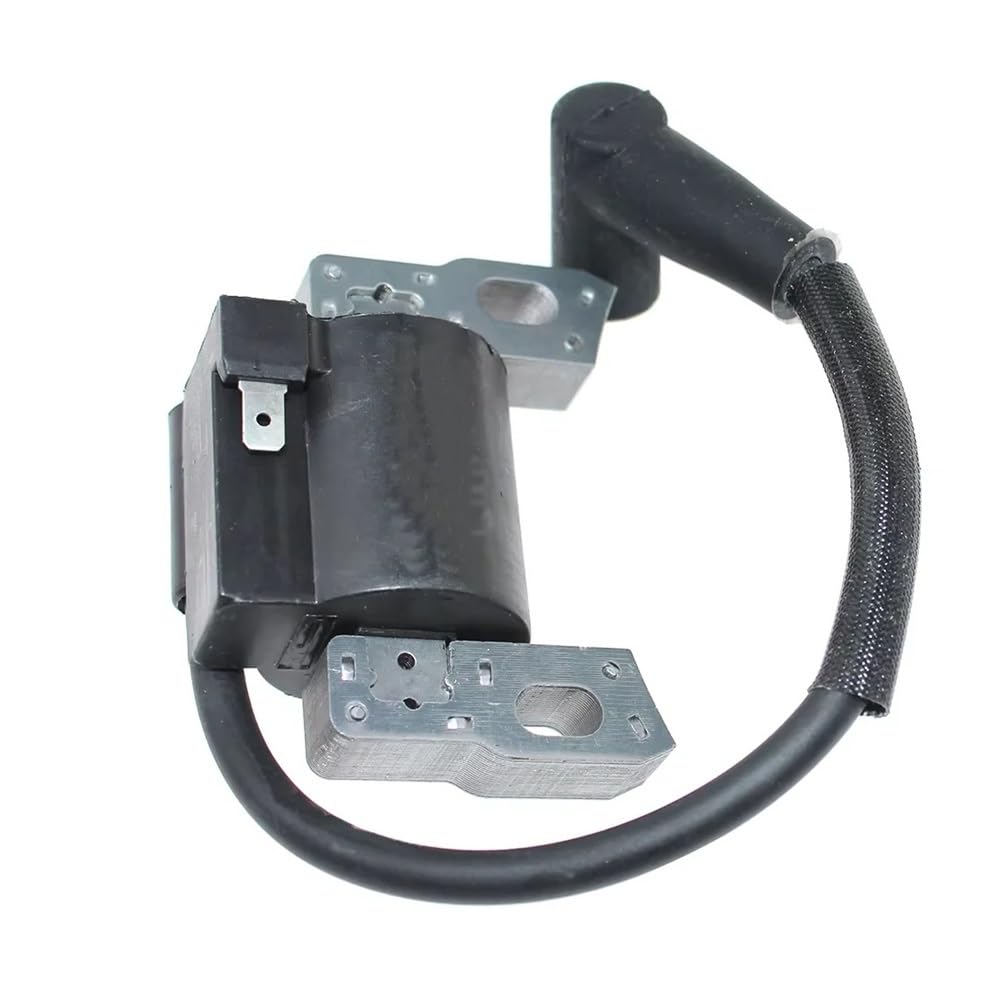 Bobine d'allumage pour moteur 112P02 114P02 121Q02 pièce de rechange motoculture