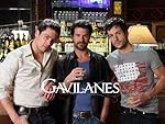 Gavilanes: 