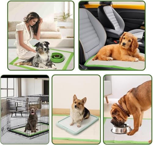 Gardner Pet Welpenunterlagen, 70x85cm Große Pipi Matten für Hunde, Super Saugfähige Welpen Unterlagen, 6-lagige Auslaufsicher Trainingspads für Hunde, Schnelle Trocknung Hunde Pipi Unterlagen 30 Stück