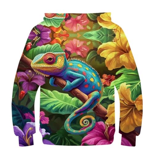Sweat à capuche 3D caméléon pour ado de 11 à 13 ans - 3