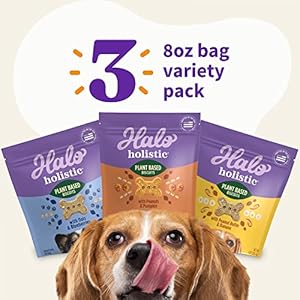Halo plant based mostly canine treats selection pack oats  blueberries peanut butter  banana peanuts  pumpkin vegan canine deal with pouch 8oz bag 3 depend   cucciolini doodles