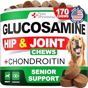 Advanced Glucosamine for Dogs – 170 Chews – Senior Hip and Joint Supplement for Dogs – Glucosamine Chondroitin – Dog Joint Health Pain Relief Pills – MSM – Mobility Support Supplement – Made in USA