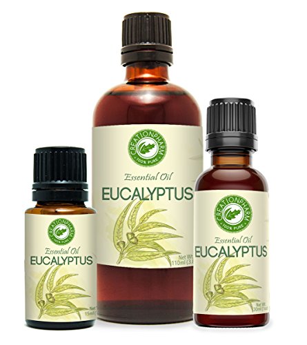Eucalyptus globulus 2 oz - Aceite de Eucalipto Esencial miniatura 3