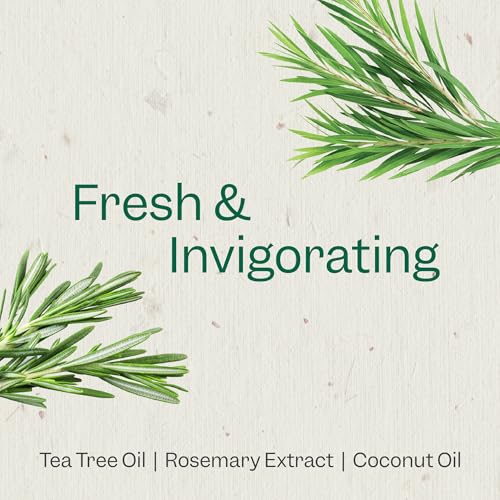 Renpure Tea Tree & Rosemary Shampoo & Conditioner Set, Plant Based - Refreshes & Rebalances Hair And Scalp thumb #2