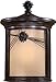 Abbey Lane Fluorescent Outdoor Wall Lantern - Energy Star