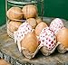 Fake Eggs to Paint, Pack of 5 Smooth Standable Wooden Eggs for Crafts, 3-1/4 Inch Wooden Easter Egg Decor, Wood Chicken Egg to Paint & Dye, by Woodpeckers