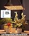 DOMMIA Grow Lights, 40W Linkable Grow Lights for Indoor Plants Full Spectrum, 6/12/16h Timer, Dimmable Ultra-Thin Plant Lights for Indoor Growing, Yellowish White, 1-Set