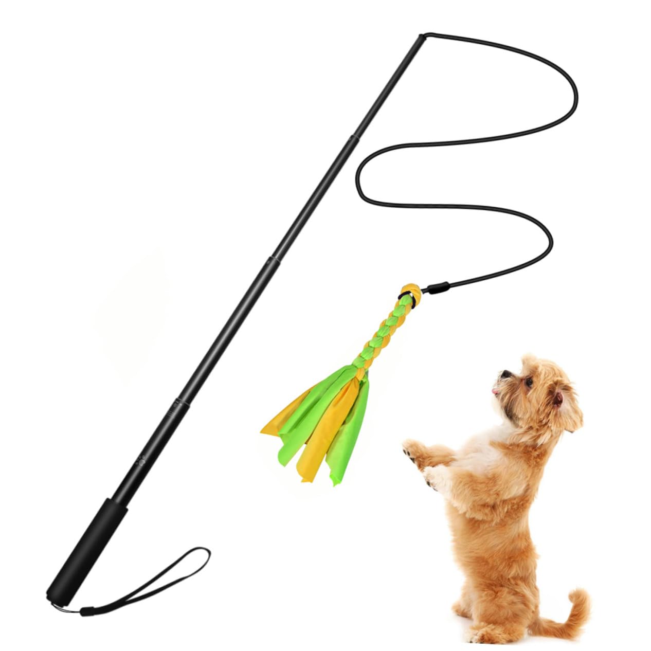 Verstellbarer Hundespielzeug Teaser Stab mit Elastischer Schnur Interaktives Trainingsspielzeug für Welpen und Hunde Ausziehbar Fördert Bewegung und Bindung