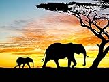 AGREGA MÁS DIVERSIÓN A LA VIDA: entre el trabajo y la vida, están sucediendo muchas cosas en tu mundo en este momento. ¡Deja que el estrés desaparezca mientras pintas con diamantes! Simplemente siéntese, descanse y comience a perforar, cultive la capacidad práctica y la paciencia de los niños, mejore su comprensión del color y la estética.También es un regalo perfecto para amigos.