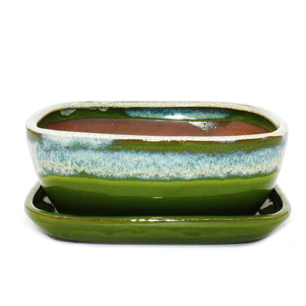 Bol à bonsaï rectangulaire en céramique bicolore verte et beige