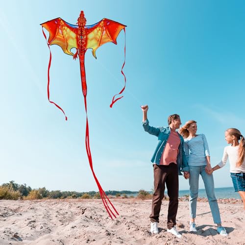 Lanrui Kite for Boys & Adults Easy to Fly,Beach Trip Outdoor Games Single Line String with Tail,Beach Kite for Family Outdoor (Red) - image 4