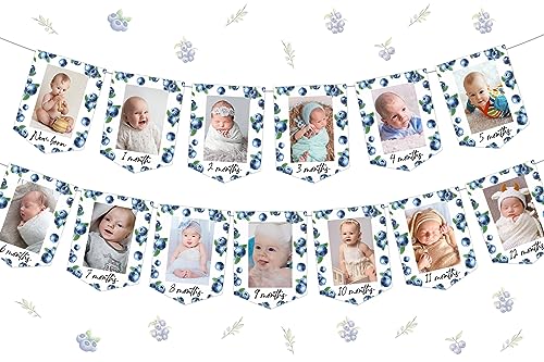 Kreatwow Blueberry 1st Photo Banner Blueberry 12 Months Photo Banner for 1st Birthday Decorations Fruit First Birthday Party Decorations Summer Fruit Party Decor
