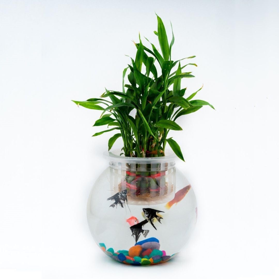 Aquarium Bowl with Live Plant Pot Only | Un Breakable | Plastic |Crystal Clear | Bowl and Plant Pot Only (4 LTR)