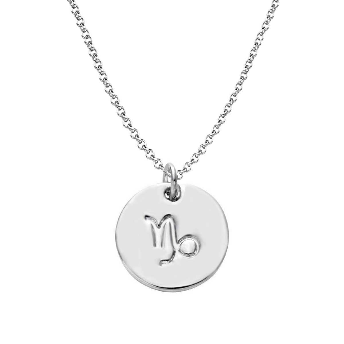 Getlace925 Sterling Silver Zodiac Necklace Disc Charm Necklace Gift for Your Wife Girlfriend or Family Member