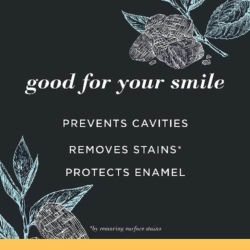 Burt'S Bees 80705915 Toothpaste, Natural Flavor, Charcoal thumb #1