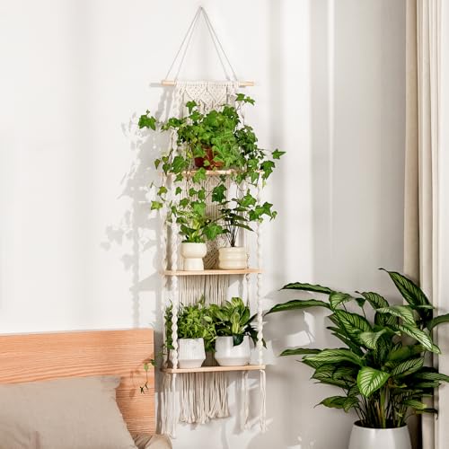 Bamworld Plant Wall Shelf Boho Plant Stand Window Plant Shelf