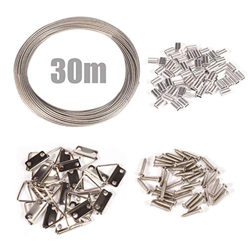 Ruesious Alambre para colgar marco de imagen - 20 piezas Anillo de triángulo de doble orificio Correa, 1 pieza Cable de acero inoxidable 304 de alta resistencia recubierto de nylon Cuerda de cable