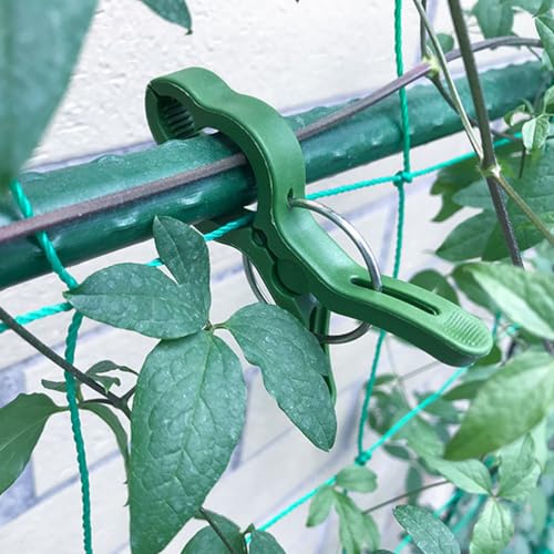 BESPORTBLE Pack of 50 Garden Clips for Tie Set Plant Clip Tomato Plants Wine Stem Clips Clip for Plant Stems Ties Set Plant Support Clamp Attachment Clip Plastic Ring - Image 2