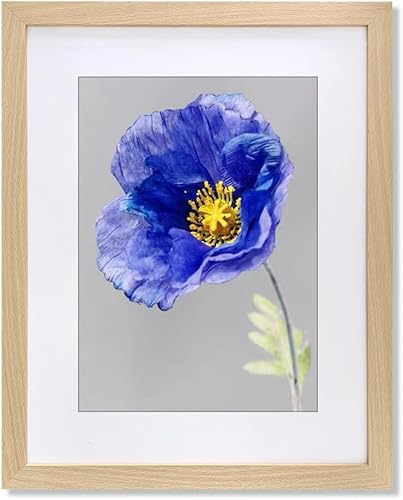 Vista 14 de VNVNK Marco negro de 20 x 28 pulgadas, perfecto para fotos de 20 x 28 pulgadas sin paspartú o fotos de 16 x 24 pulgadas con paspartú, marco de fotos