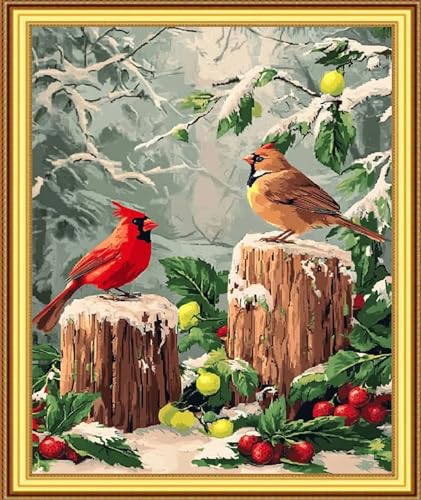 Image of Foxnyart Stamped Cross Stitch Kits Full Range of Embroidery Needlework Starter Kits for Beginners Adults 11CT Embroidery Patterns Art Crafts DIY Needlepoint Kit-Little Bird Snow Scene 16x20 inchs