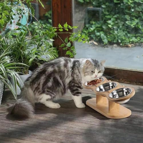 Gamelle inclinée 15 degrés pour chat finis les reflux gastriques - 3