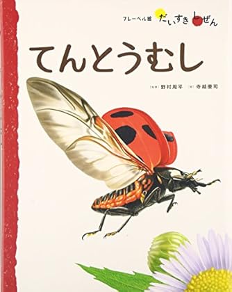 てんとうむしの絵本　テントウムシのいちねん他　かがくのとも　キンダーブックしぜん テントウムシの いちねん｜福音館書店