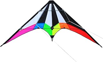 Amazon.co.jp: Generic プロフェッショナル スポーツカイト 大型