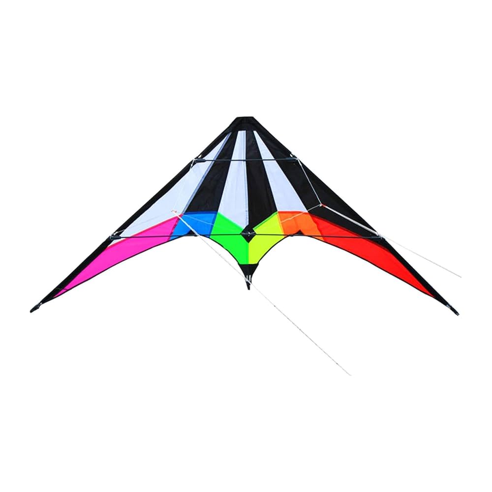 #スカイスポーツ カイト 中国　濰坊　風箏　魚凧　海外商品　风筝 kite 美品 スカイスポーツ カイト 中国 濰坊 風箏 魚凧 海外商品 风筝 kite