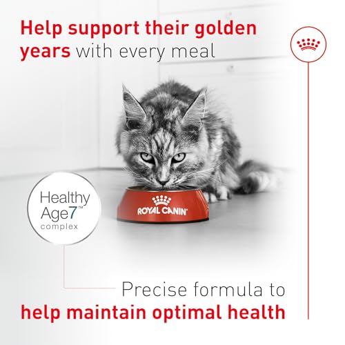 ROYAL CANIN Feline Health Nutrition Aging 11+ Dry Cat Food for Seniors, Kibble Rich in Energy for Cats Over 11 Years, Supports Optimal Health & Vitality, 6 lb Bag - image 7