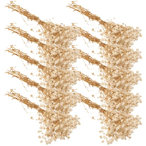 Ramo de flores secas gypsophila beige para boda decoración miniatura 1